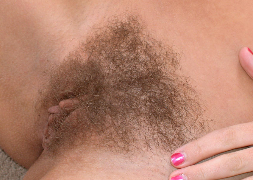 Gratis Foto 3191 Peludas