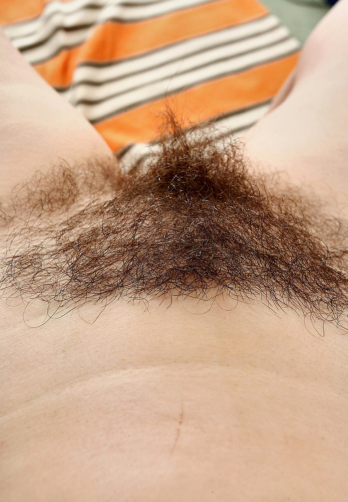 Gratis Foto 11730 Peludas