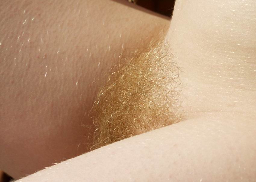 Gratis Foto 10032 Peludas