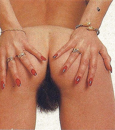 Gratis Foto 9459 Peludas