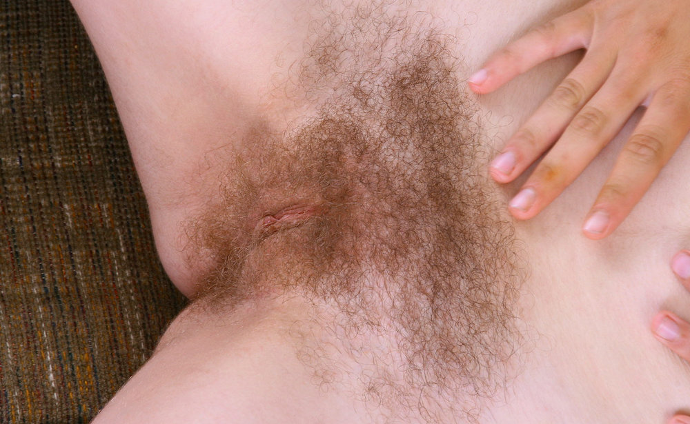Gratis Foto 724 Peludas