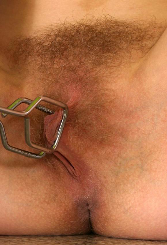 Gratis Foto 110 Peludas