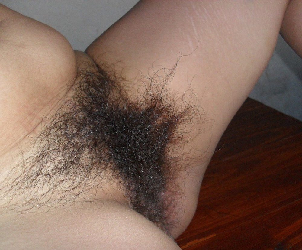 Gratis Foto 12960 Peludas