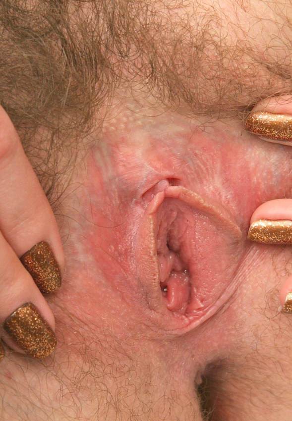 Gratis Foto 13291 Peludas
