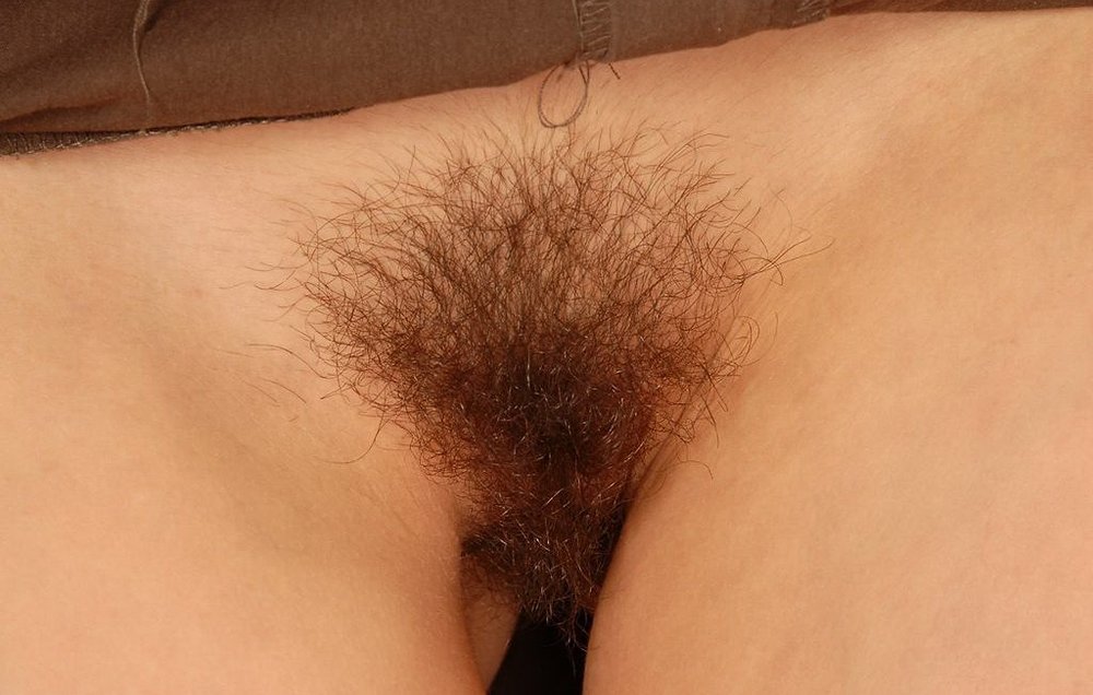Gratis Foto 4337 Peludas