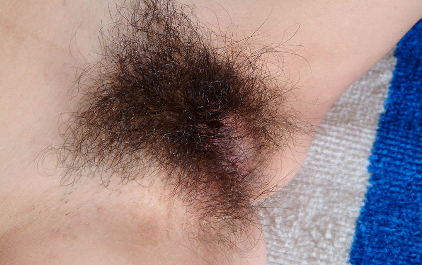 Gratis Foto 12264 Peludas