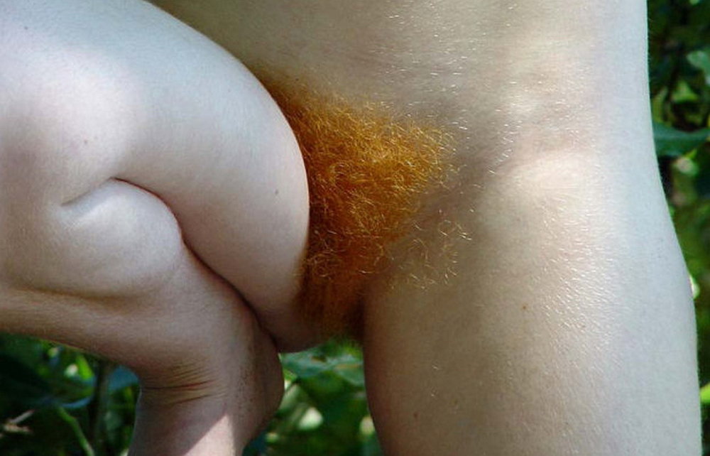 Gratis Foto 4294 Peludas