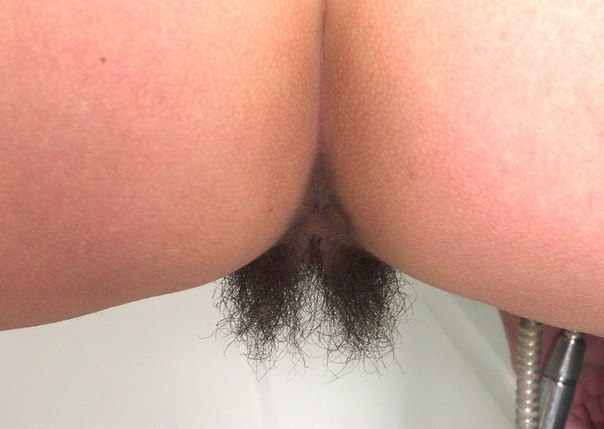 Gratis Foto 12991 Peludas