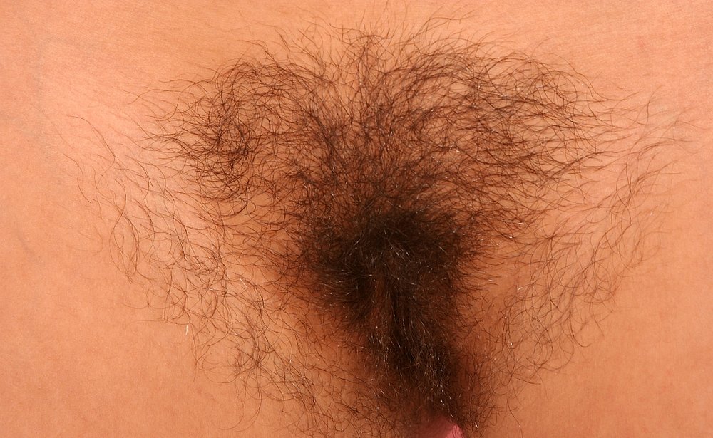 Gratis Foto 588 Peludas