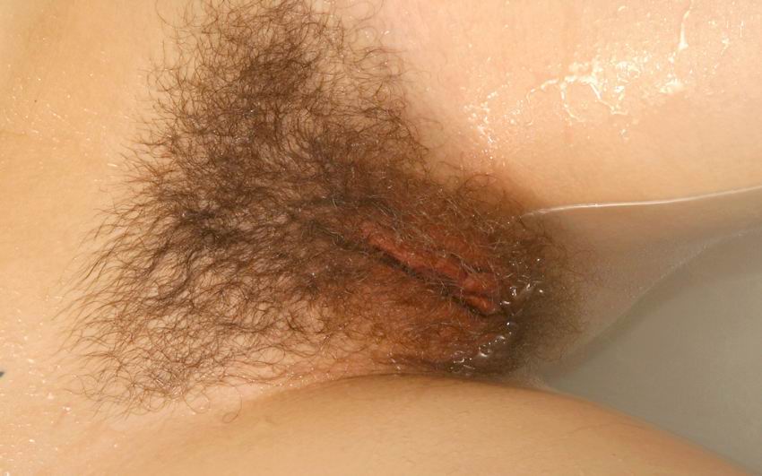 Gratis Foto 13482 Peludas