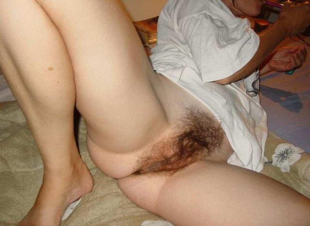 Gratis Foto 10652 Peludas