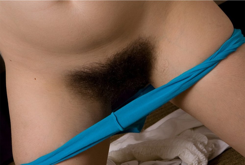Gratis Foto 10075 Peludas