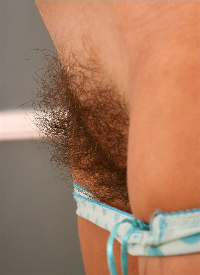 Gratis Foto 15046 Peludas