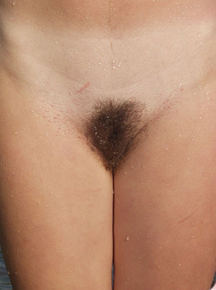 Gratis Foto 11910 Peludas