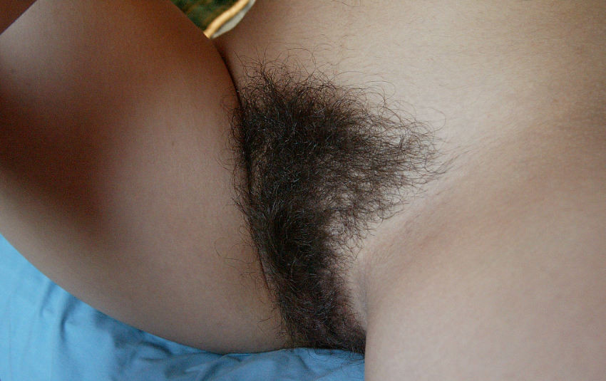 Gratis Foto 403 Peludas