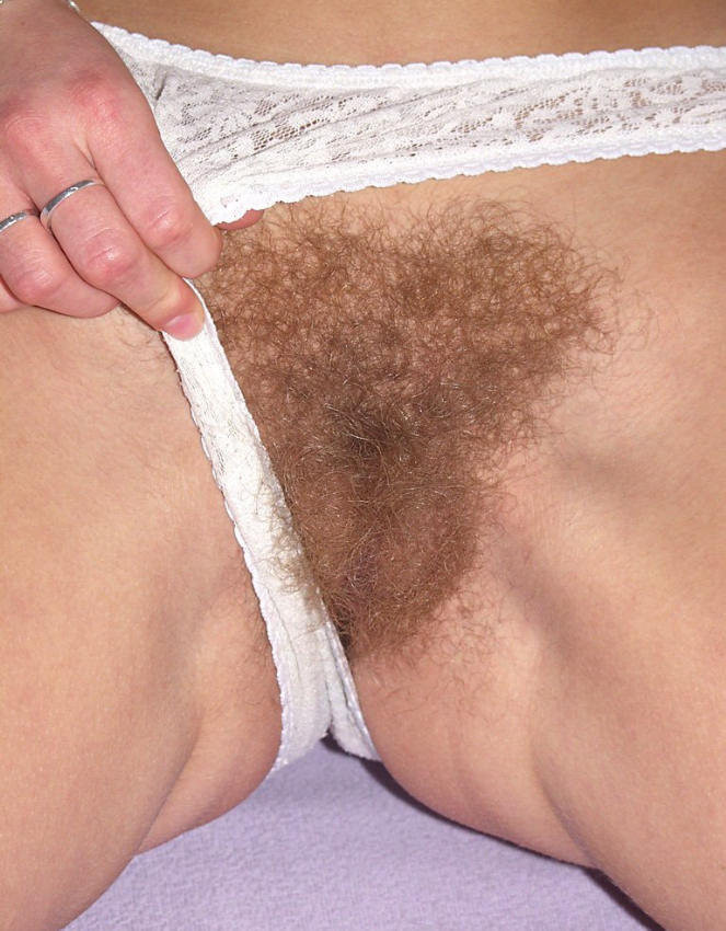 Gratis Foto 2060 Peludas