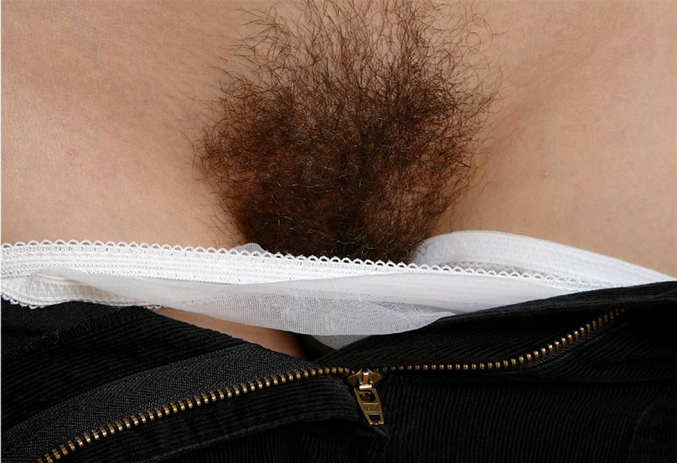 Gratis Foto 311 Peludas