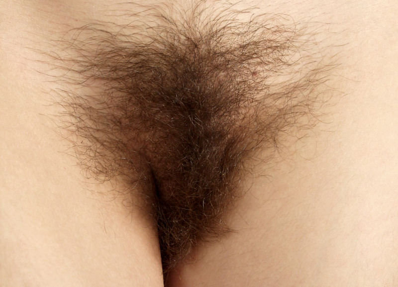 Gratis Foto 11485 Peludas