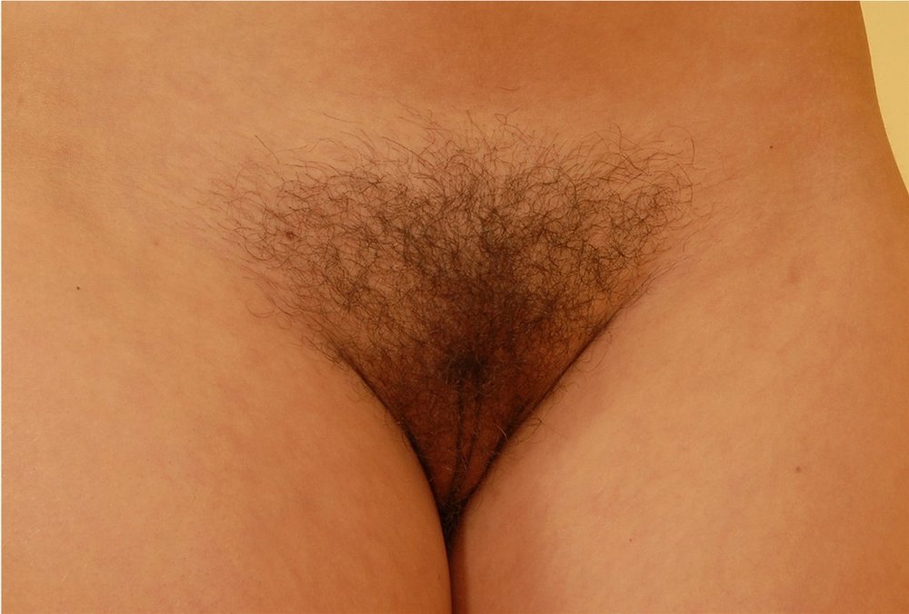 Gratis Foto 7705 Peludas