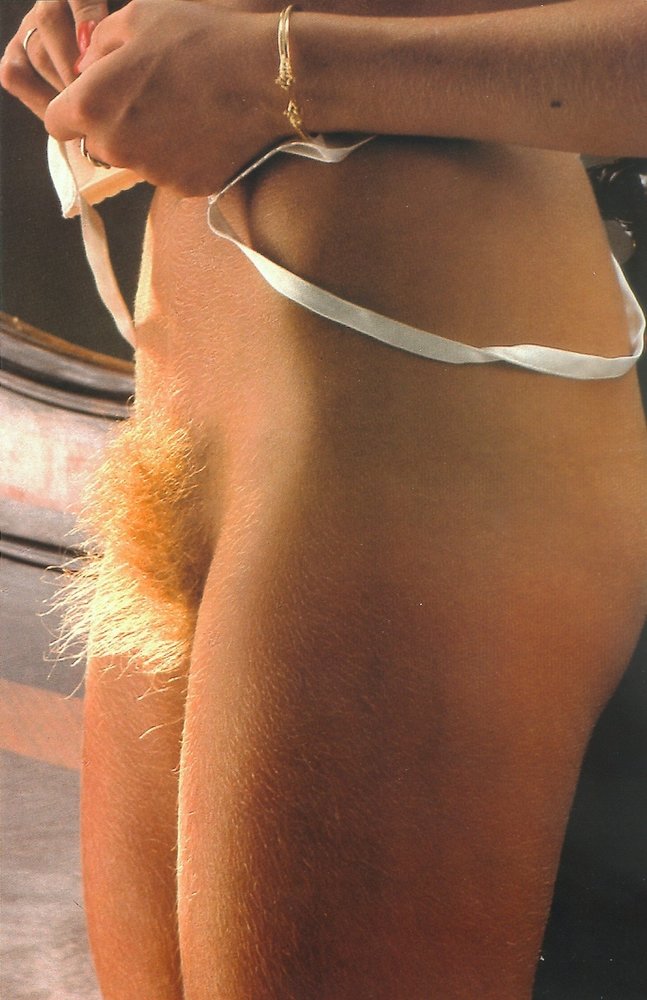 Gratis Foto 12930 Peludas