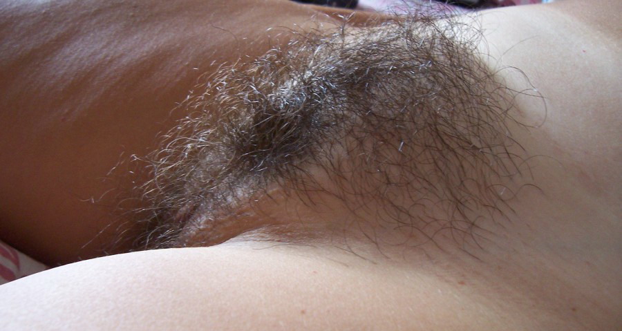 Gratis Foto 5996 Peludas