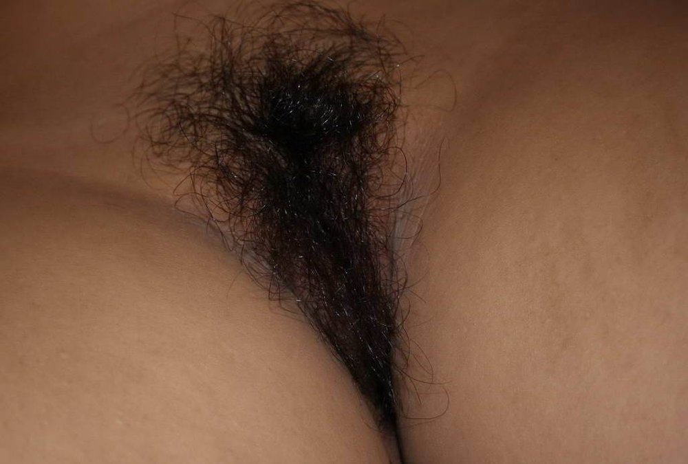 Gratis Foto 4040 Peludas