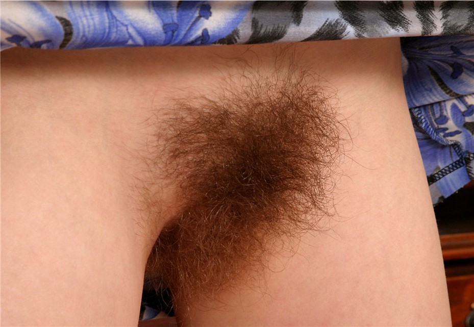 Gratis Foto 7551 Peludas