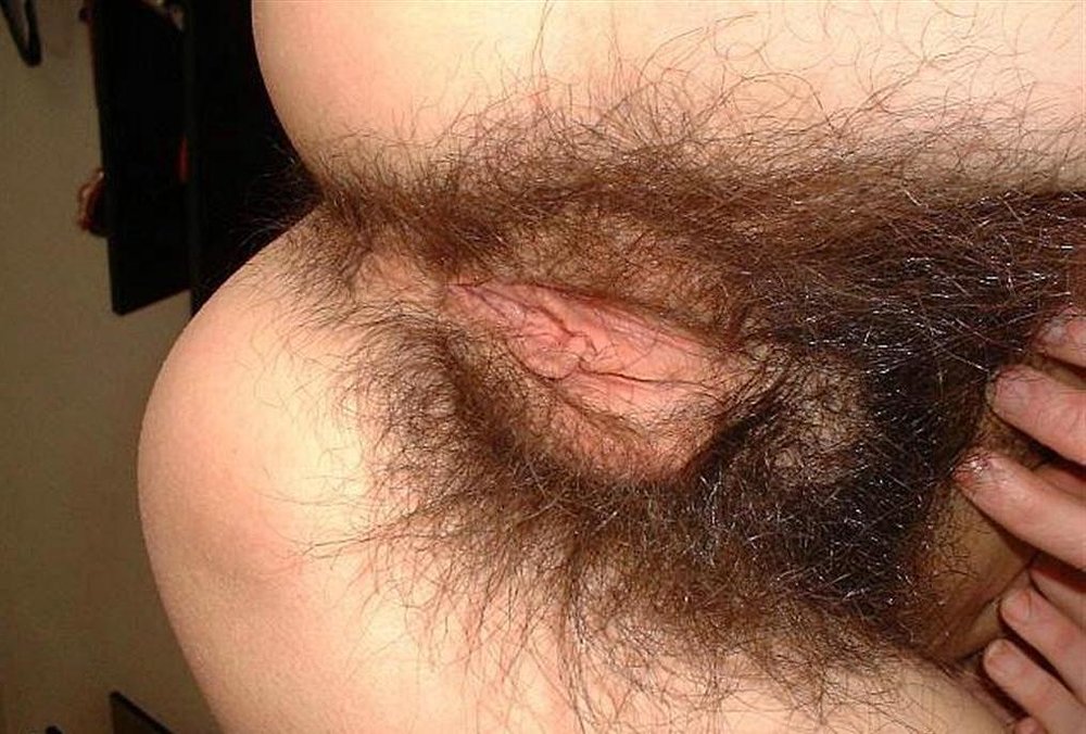 Gratis Foto 10822 Peludas