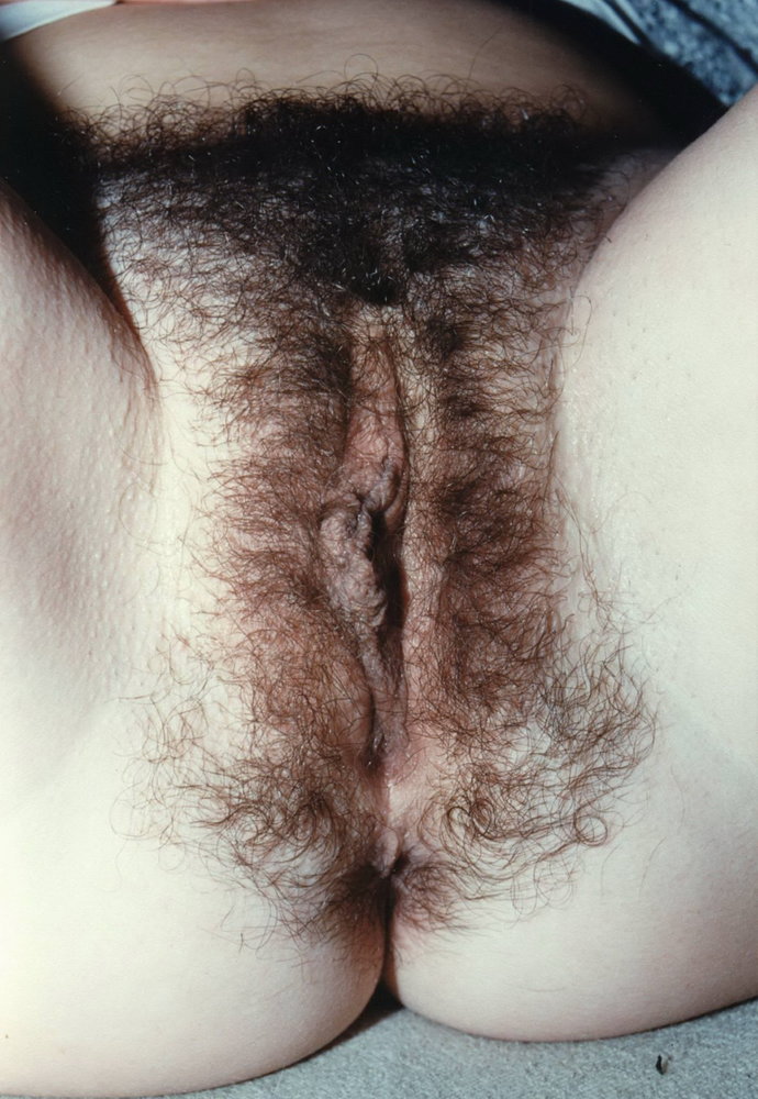 Gratis Foto 11259 Peludas