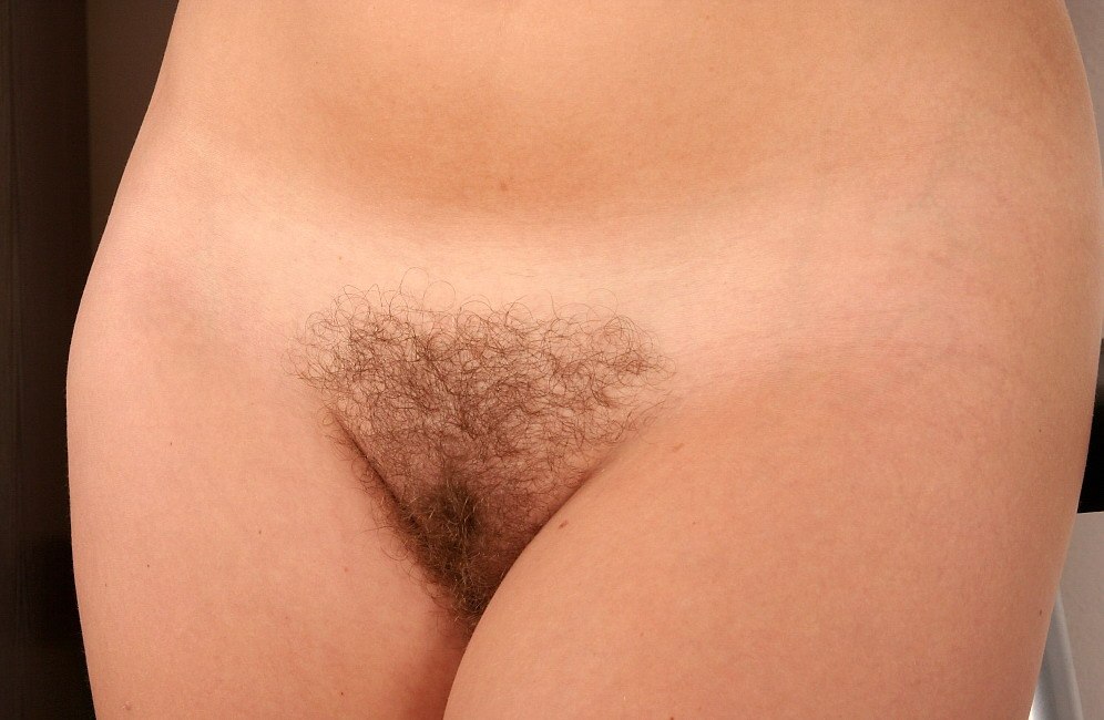 Gratis Foto 11697 Peludas