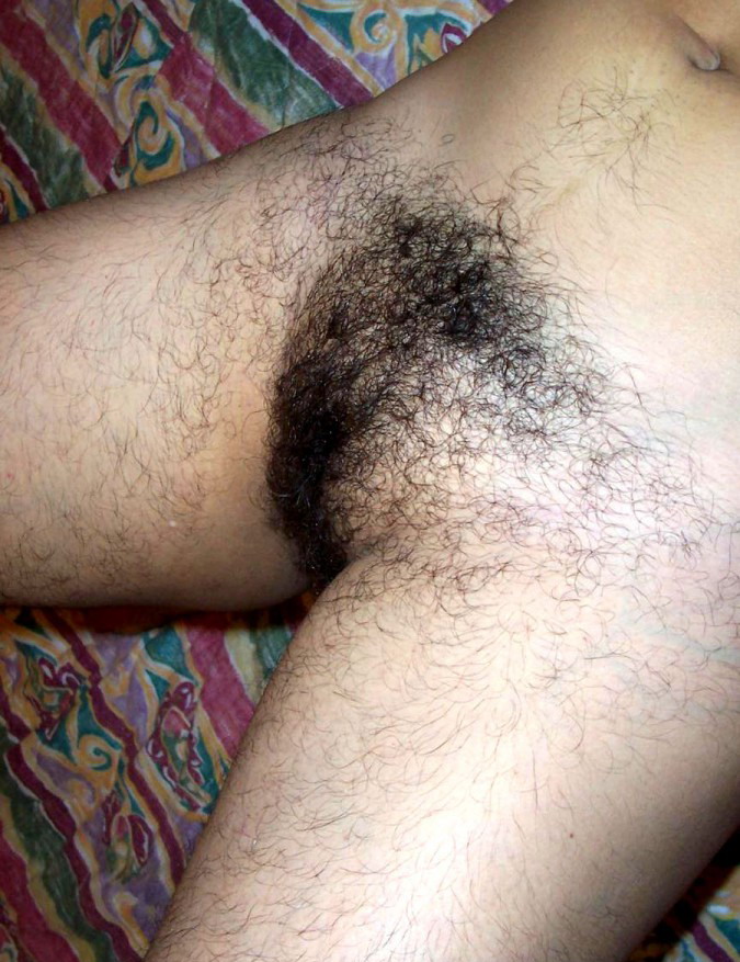 Gratis Foto 7381 Peludas