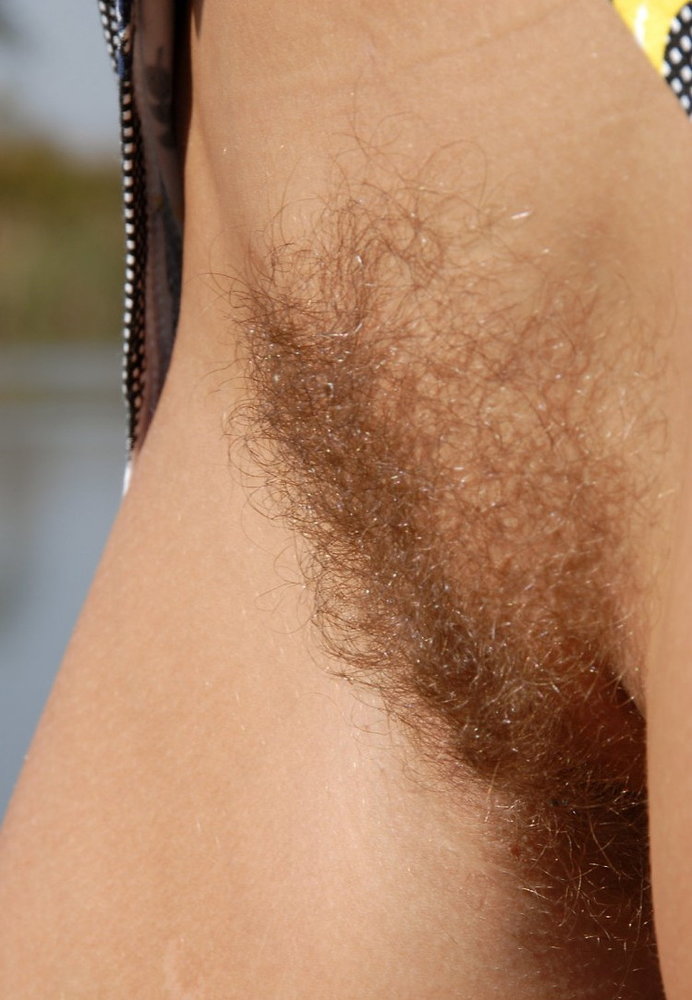 Gratis Foto 14501 Peludas