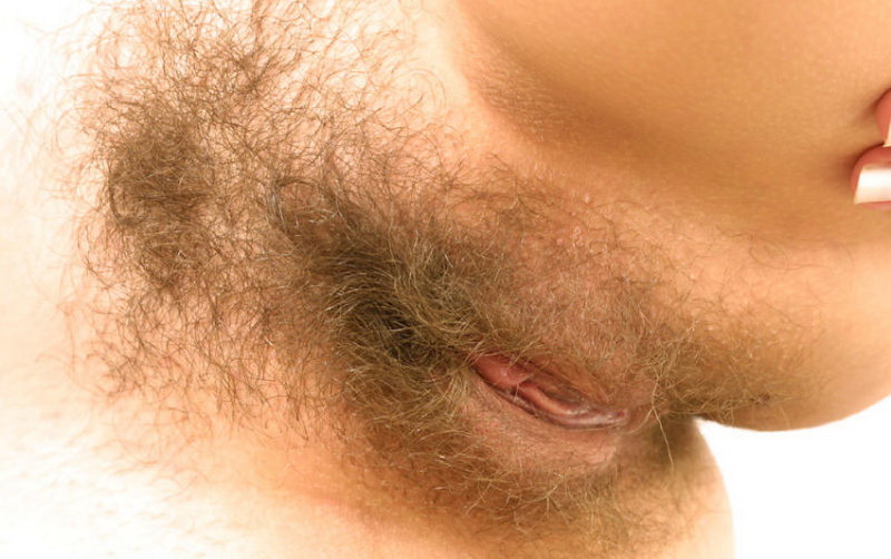 Gratis Foto 8355 Peludas