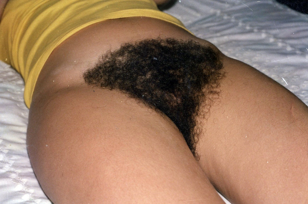 Gratis Foto 8036 Peludas