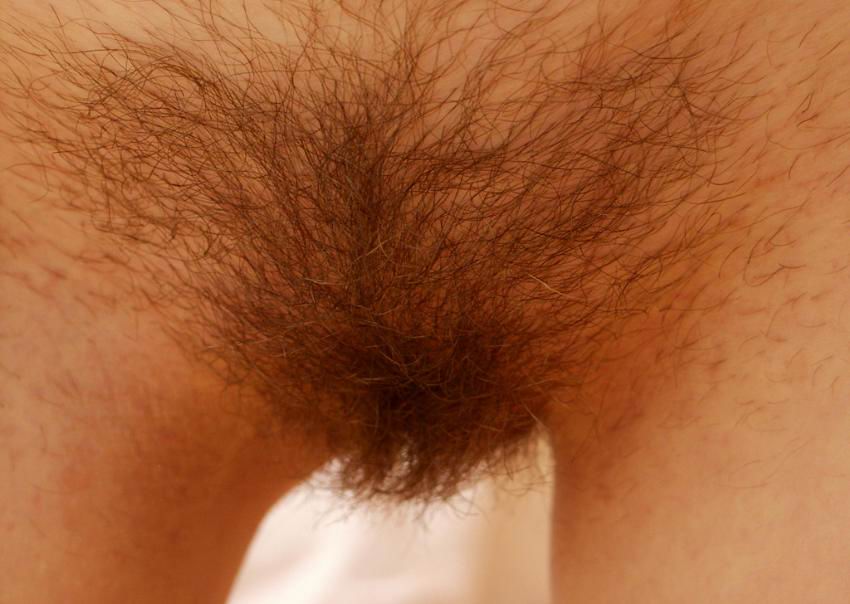 Gratis Foto 11143 Peludas