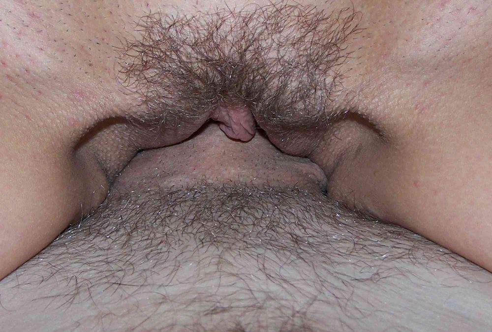 Gratis Foto 10472 Peludas