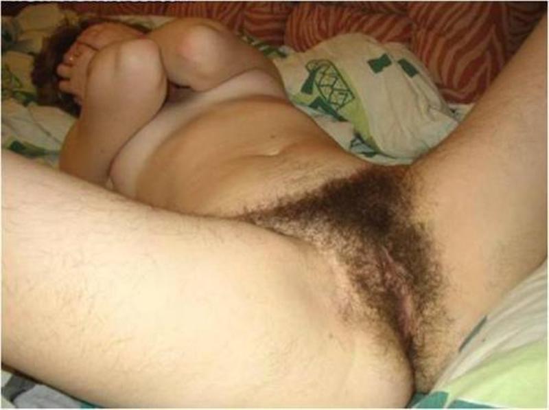 Gratis Foto 1601 Peludas