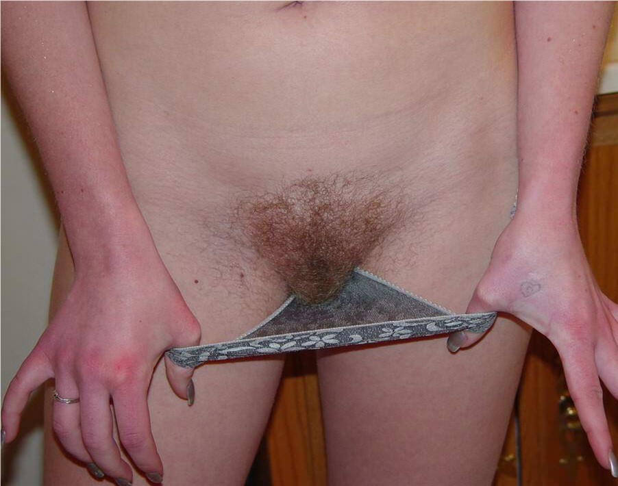 Gratis Foto 15082 Peludas