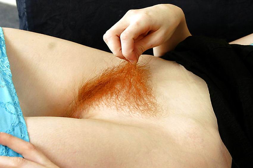Gratis Foto 1777 Peludas
