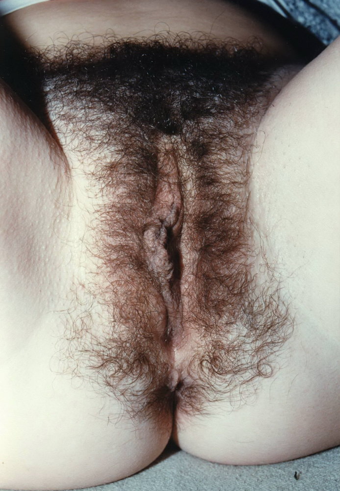Gratis Foto 12459 Peludas