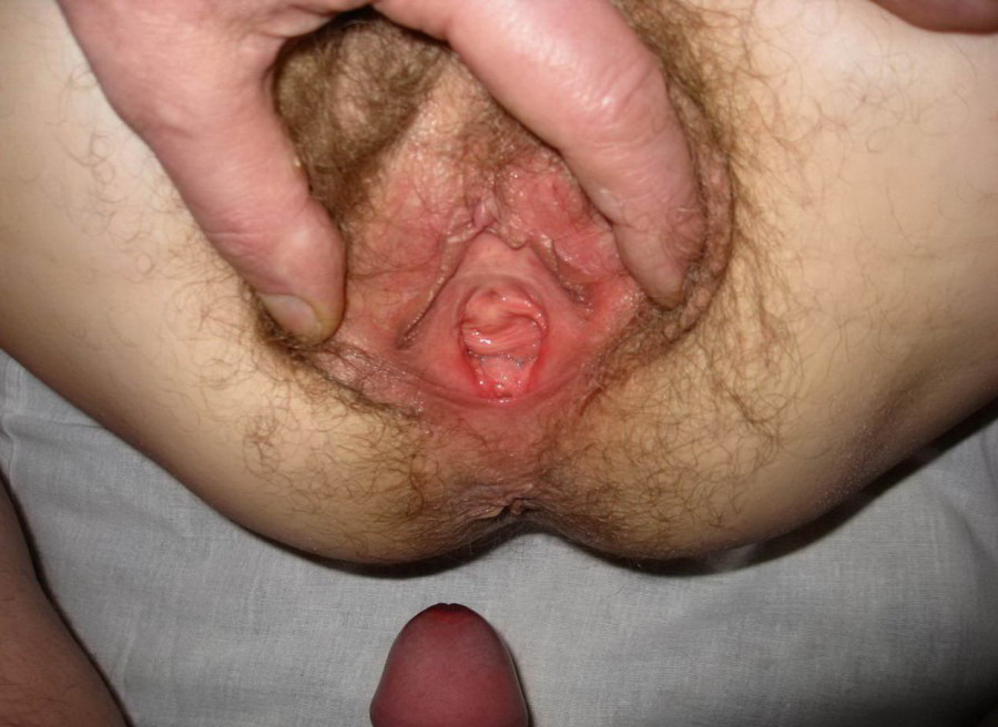 Gratis Foto 77 Peludas