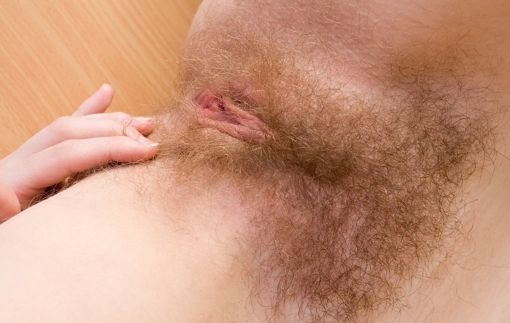 Gratis Foto 8733 Peludas