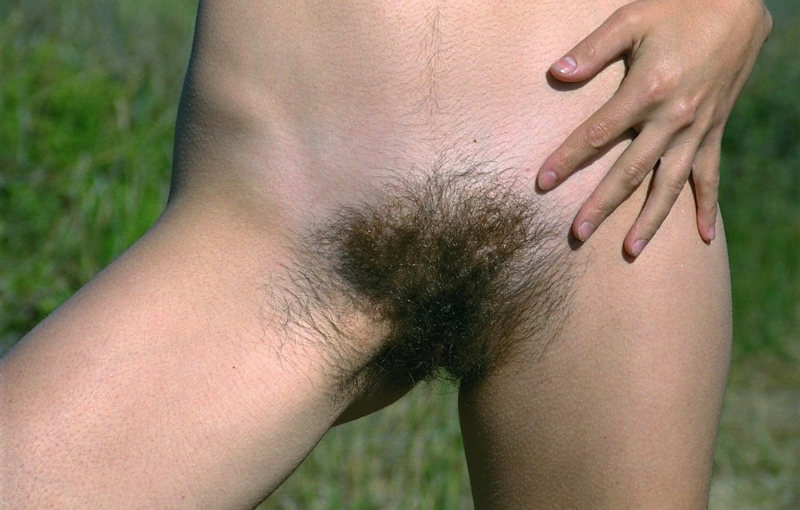 Gratis Foto 3238 Peludas