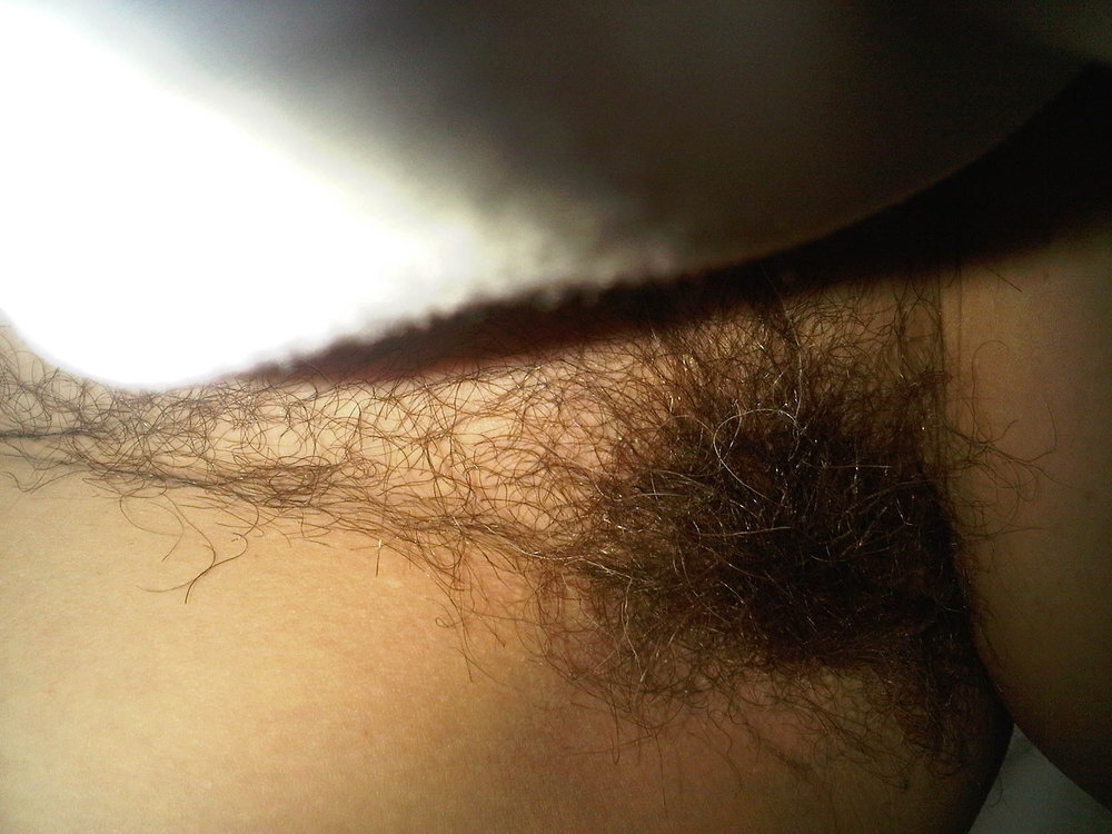 Gratis Foto 632 Peludas