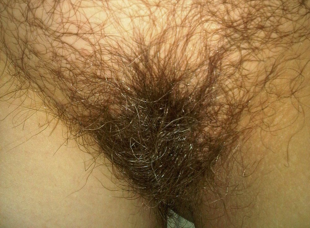 Gratis Foto 9015 Peludas