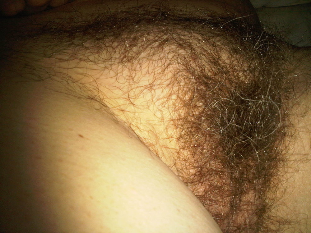 Gratis Foto 811 Peludas