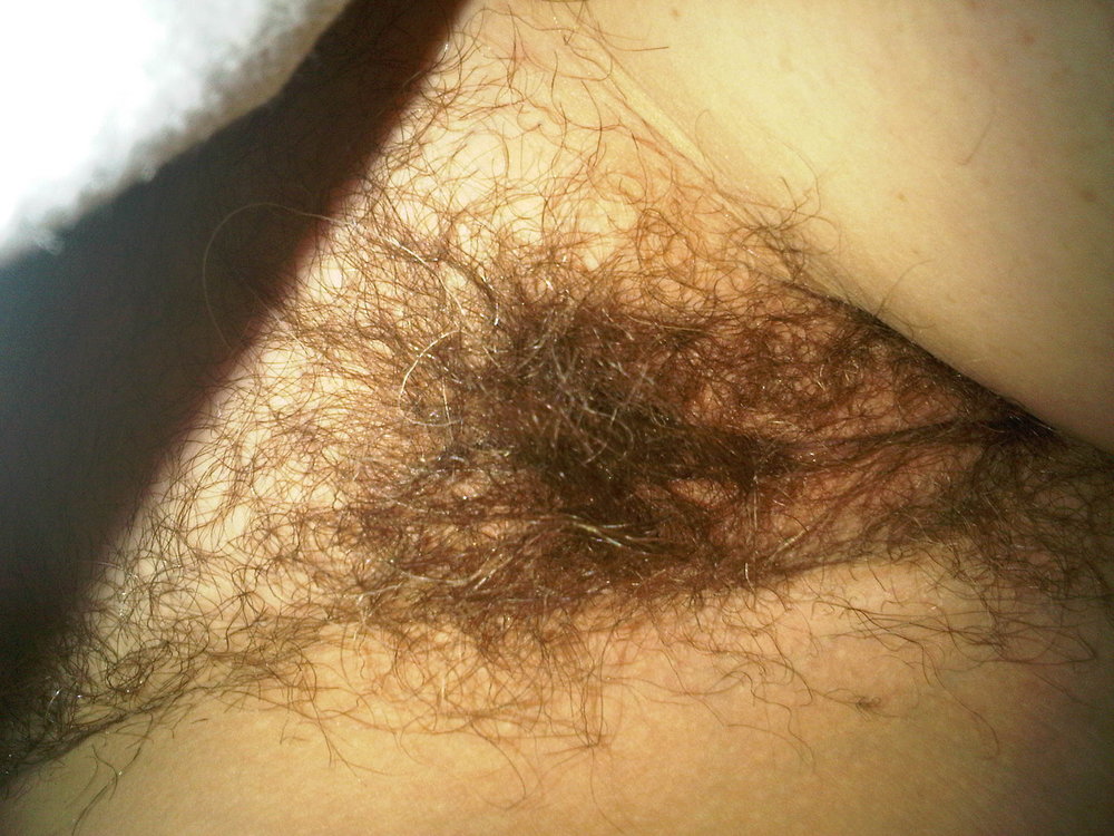 Gratis Foto 12141 Peludas