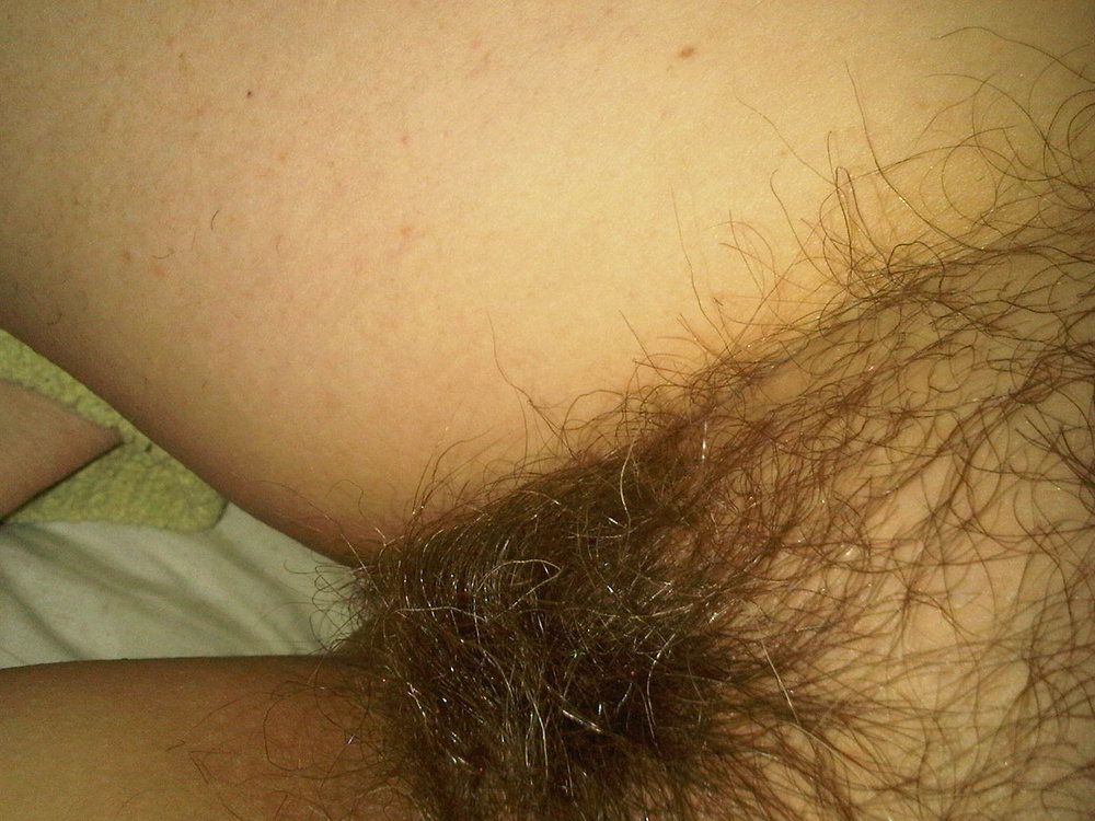 Gratis Foto 11968 Peludas