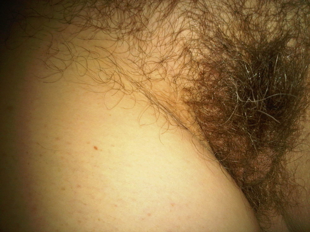 Gratis Foto 1015 Peludas