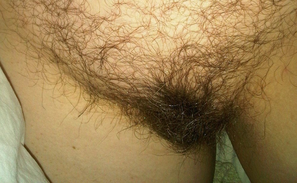 Gratis Foto 1540 Peludas